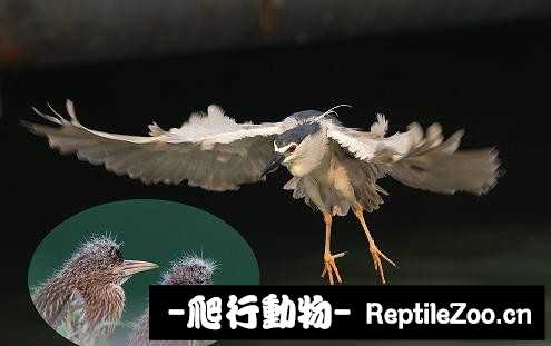 233902huquqq884qq33drq.jpg