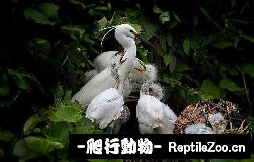 233904l8fbf4ebyndpclef.jpg
