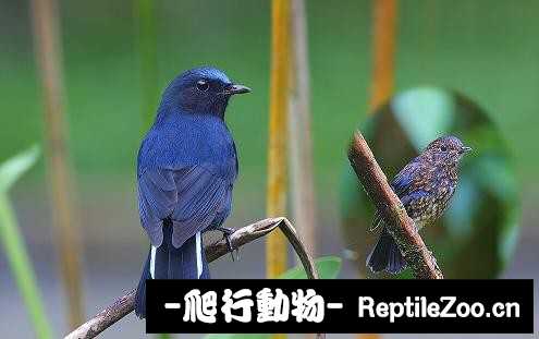 233906axpc8lpkzkmpyym2.jpg