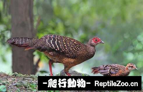 233907ijqtjqohgooh2h0i.jpg