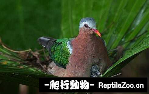 233907poafhfoirhk9kfiz.jpg