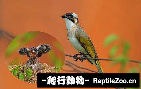 233907sdzrkfk8n7grliks.jpg
