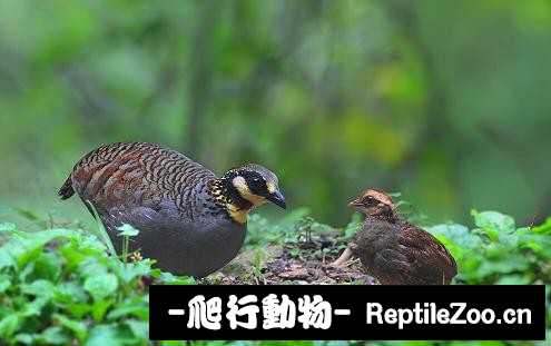 233908d34wu9o359o5o435.jpg