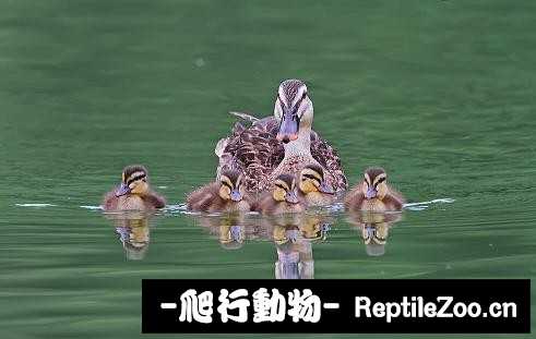 233908fwn4mpmw4wnvwm3f.jpg