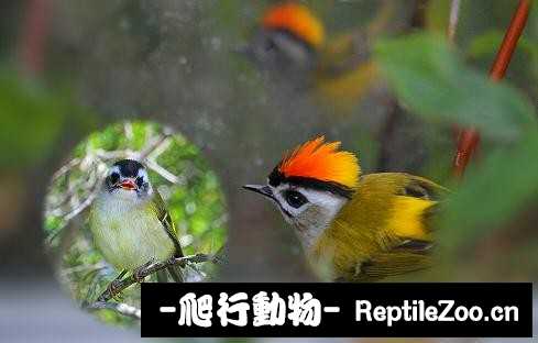 233909qe8kbc85783orble.jpg