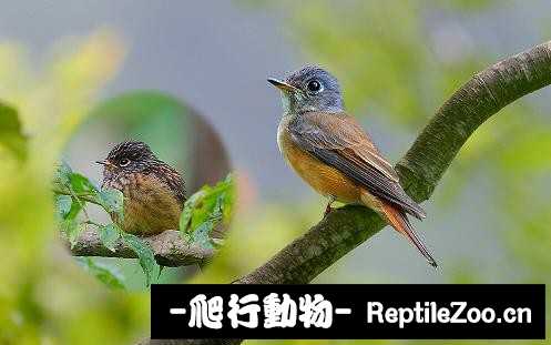 233911m1jnafj8j7f8avjb.jpg