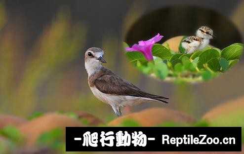 233911py499myffs9894z8.jpg