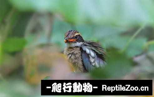 233922l5z5yozmkzj2e2kn.jpg