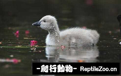 233922ung53y91ny29yy47.jpg