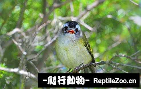 233925y4ttl1v63vt7g7u1.jpg