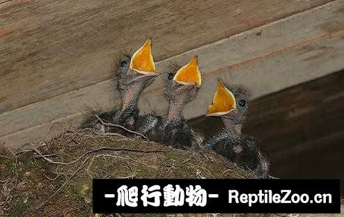 233926k88qqqtn0n99lbvn.jpg