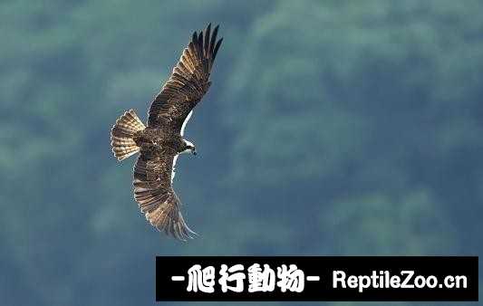 233937lhy5c7z2x22ki870.jpg