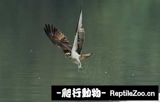 233937p654wrmkdtwmrhma.jpg