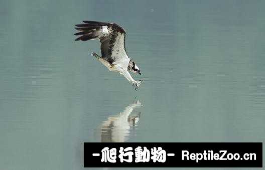233937rkn0i0q5opkoovyq.jpg