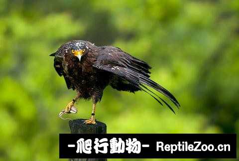 234120d0sjj905jwecg0fv.jpg