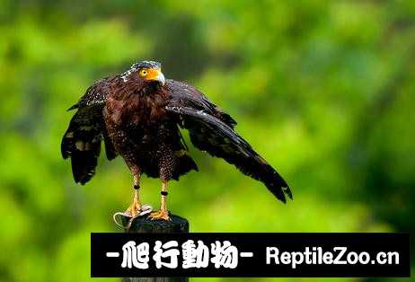 234120ff1g0bvhwv6gvwzh.jpg