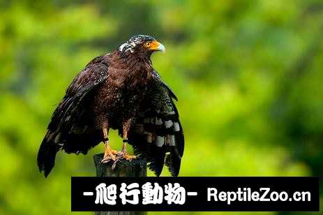 234121lwogxusxxfj6ukg3.jpg