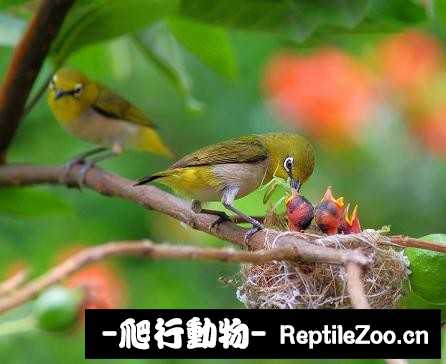 234137ov2pcm6d16ovuduc.jpg