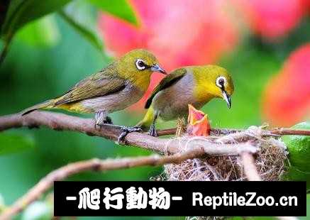 234137u523plwjw55leojj.jpg