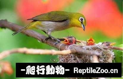 234138d6r2zrnzun7060ru.jpg