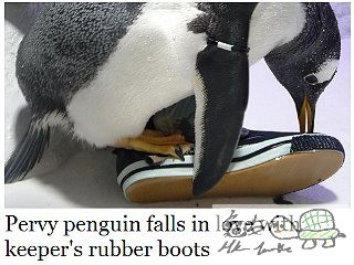 234142emjj93ajrjprmjlj.jpg
