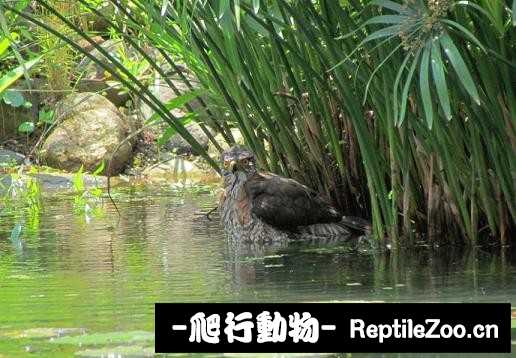 234231y7q78f3aq3affaqb.jpg