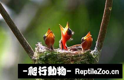 234237dnor77r3mymf23wp.jpg