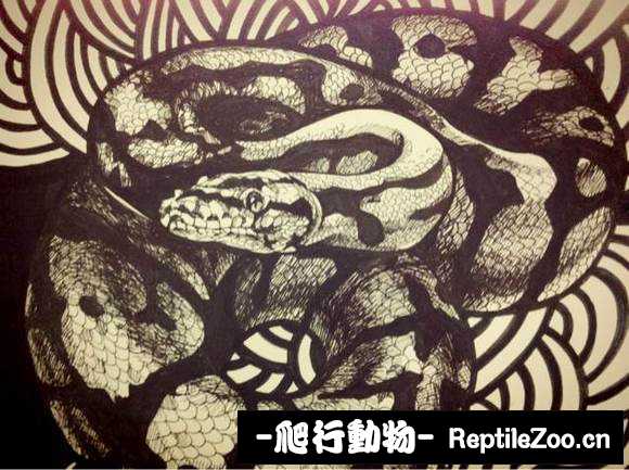 display_picture.php?url=http%3A%2F%2Fimgsa.baidu.com%2Fforum%2Fw%253D580%2Fsign%3D3c039f73d53f8794d3ff4826e21a0ead%2F795bd3c451da81cb979dff065366d016082431b3.jpg