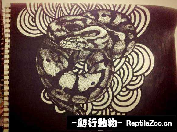 display_picture.php?url=http%3A%2F%2Fimgsa.baidu.com%2Fforum%2Fw%253D580%2Fsign%3Dba4d67888ad4b31cf03c94b3b7d4276f%2Fd33d26381f30e9244839e0fa4d086e061c95f716.jpg