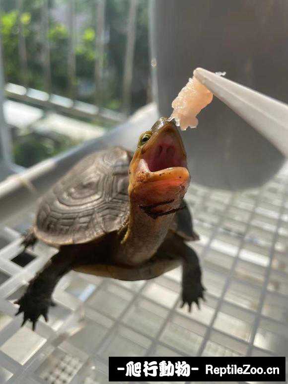 142306qvhhbdrvv5z5vsjc.jpg