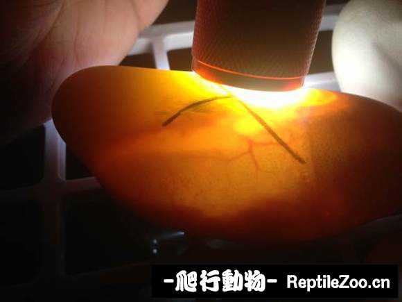 display_picture.php?url=http%3A%2F%2Fimgsa.baidu.com%2Fforum%2Fw%253D580%2Fsign%3Da2db52a348540923aa696376a259d1dc%2F48b7df58ccbf6c81af608068bd3eb13532fa4094.jpg
