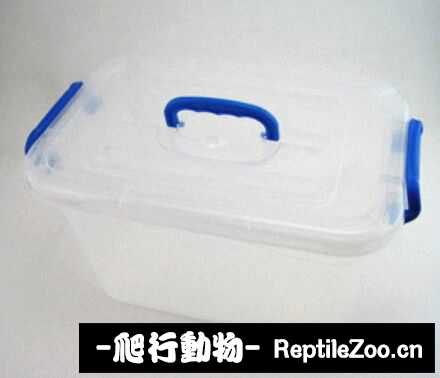 display_picture.php?url=http%3A%2F%2Fimgsa.baidu.com%2Fforum%2Fw%253D580%2Fsign%3Db97fbab98601a18bf0eb1247ae2e0761%2Fcb05e724b899a9017ea367a31c950a7b0308f542.jpg