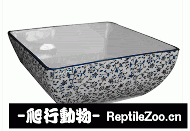 display_picture.php?url=http%3A%2F%2Fimgsa.baidu.com%2Fforum%2Fw%253D580%2Fsign%3D99c76cdad009b3deebbfe460fcbe6cd3%2Fcdedb23eb13533fa4d02589ca9d3fd1f40345b86.jpg