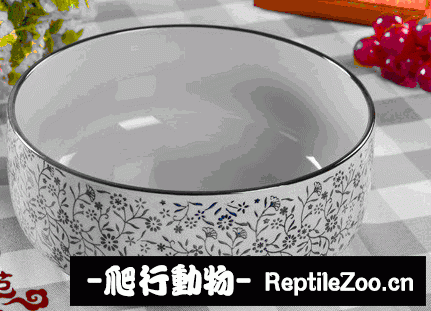 display_picture.php?url=http%3A%2F%2Fimgsa.baidu.com%2Fforum%2Fw%253D580%2Fsign%3Db3bf17d2342ac65c6705667bcbf3b21d%2F644bc48065380cd7181b695fa044ad3459828135.jpg