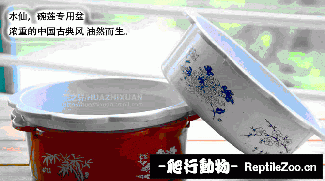 display_picture.php?url=http%3A%2F%2Fimgsa.baidu.com%2Fforum%2Fw%253D580%2Fsign%3D790b79c6eaf81a4c2632ecc1e72b6029%2F001f2634349b033b2e8d376814ce36d3d539bd35.jpg