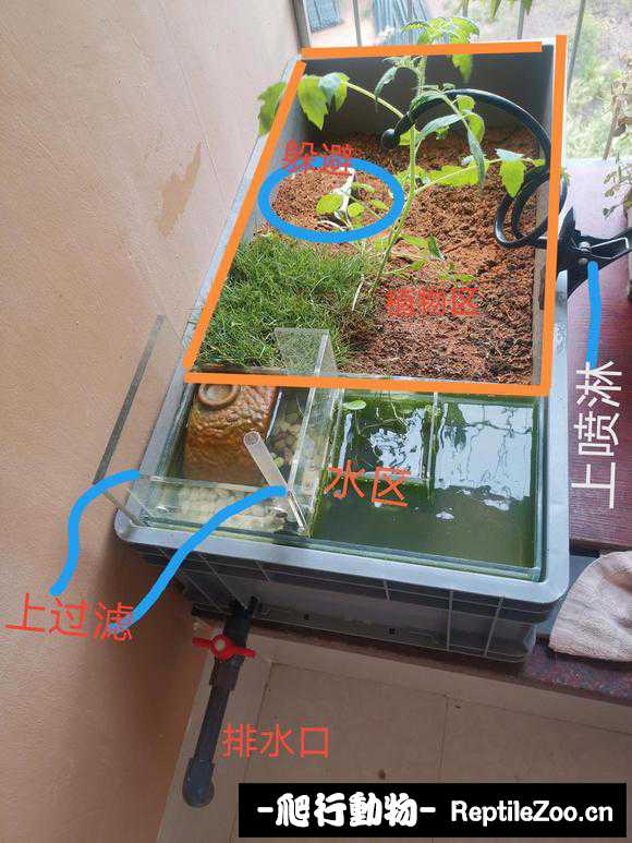 143419yp3lb8g1t311h3ag.jpg