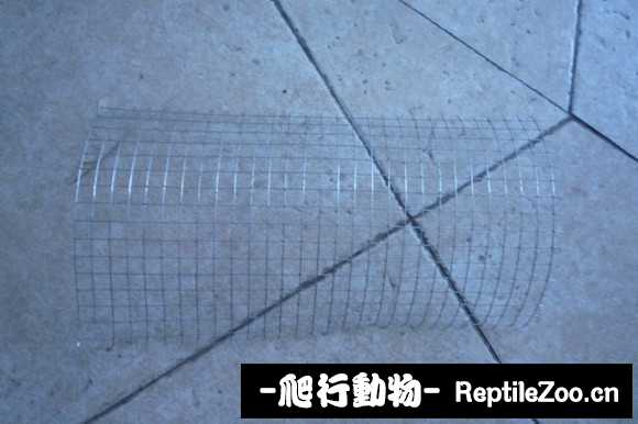 display_picture.php?url=http%3A%2F%2Fimgsa.baidu.com%2Fforum%2Fw%253D580%2Fsign%3D9de838b037d3d539c13d0fcb0a87e927%2F12691e385343fbf2e613be6db17eca8065388f72.jpg