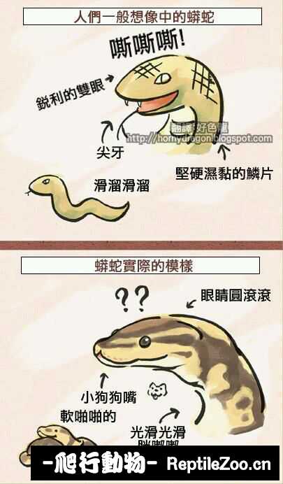 display_picture.php?url=http%3A%2F%2Fimgsa.baidu.com%2Fforum%2Fw%253D580%2Fsign%3Dbbefcd6c0824ab18e016e13f05fbe69a%2F4a6401b30f2442a730bad5efd043ad4bd01302fd.jpg