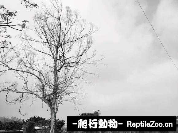 143948l94s710r9s9lch71.jpg