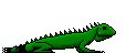display_picture.php?url=http%3A%2F%2Fimg.xdnphb.com%2Fueditor%2Fedit%2Fupload%2Fimage%2F20160805%2F1470364797893081832.gif