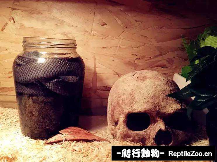 display_picture.php?url=http%3A%2F%2Fimg.xdnphb.com%2Fueditor%2Fedit%2Fupload%2Fimage%2F20160805%2F1470364798313050309.jpg