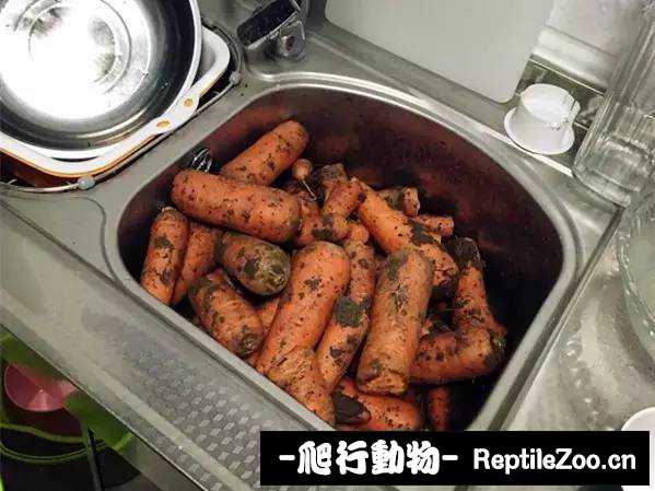 display_picture.php?url=http%3A%2F%2Fimg.xdnphb.com%2Fueditor%2Fedit%2Fupload%2Fimage%2F20160805%2F1470364799109049477.jpg