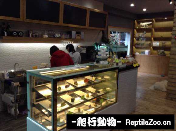 display_picture.php?url=http%3A%2F%2Fimgsa.baidu.com%2Fforum%2Fw%253D580%2Fsign%3Dc33751aa3e01213fcf334ed464e736f8%2F6d0d95504fc2d562cb12b59ee01190ef76c66c64.jpg