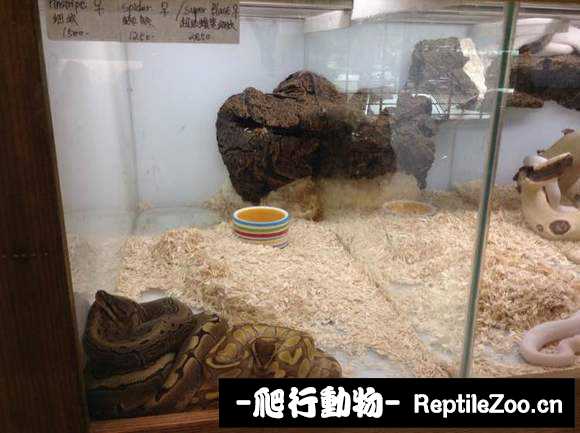 display_picture.php?url=http%3A%2F%2Fimgsa.baidu.com%2Fforum%2Fw%253D580%2Fsign%3Dea292baf53e736d158138c00ab504ffc%2F5100ebdde71190ef24e1f7acc91b9d16fdfa6064.jpg