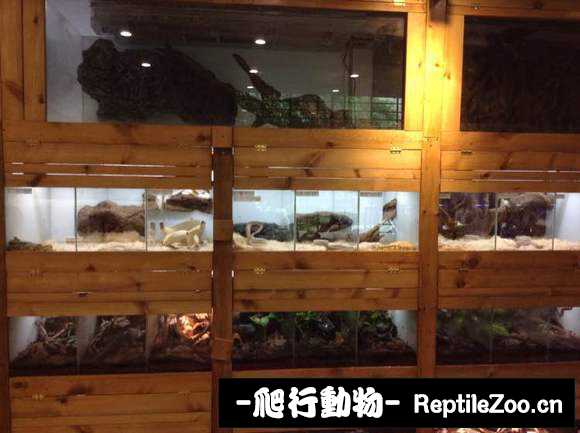 display_picture.php?url=http%3A%2F%2Fimgsa.baidu.com%2Fforum%2Fw%253D580%2Fsign%3D31fedd5306e9390156028d364bec54f9%2Ffb1bb7389b504fc29845d576e2dde71190ef6d64.jpg