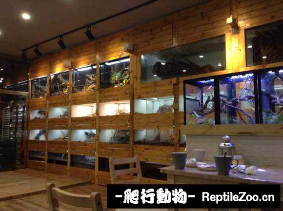 display_picture.php?url=http%3A%2F%2Fimgsa.baidu.com%2Fforum%2Fw%253D580%2Fsign%3De6887e9ea4cc7cd9fa2d34d109012104%2Fafd95ae736d12f2ef31fcb1348c2d56285356864.jpg