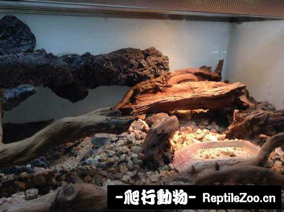 display_picture.php?url=http%3A%2F%2Fimgsa.baidu.com%2Fforum%2Fw%253D580%2Fsign%3D28cb04a431d12f2ece05ae687fc2d5ff%2F31e8e91190ef76c6f4c89e589a16fdfaaf516764.jpg