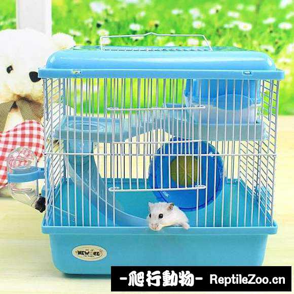 display_picture.php?url=http%3A%2F%2Fimgsa.baidu.com%2Fforum%2Fw%253D580%2Fsign%3D4c185a264cfbfbeddc59367748f1f78e%2Fad040455b319ebc4a1f2bd808526cffc1f1716d2.jpg