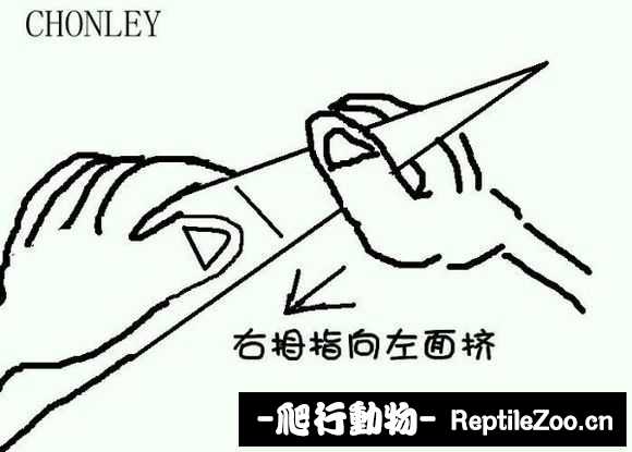 display_picture.php?url=http%3A%2F%2Fimgsa.baidu.com%2Fforum%2Fw%253D580%2Fsign%3Da2280aed3fc79f3d8fe1e4388aa1cdbc%2F9325b712c8fcc3cea8e886219645d688d43f20a9.jpg