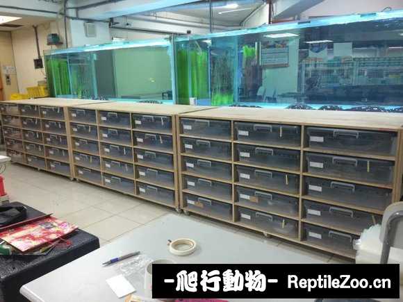 display_picture.php?url=http%3A%2F%2Fimgsa.baidu.com%2Fforum%2Fw%253D580%2Fsign%3D5587d68d8e1001e94e3c1407880f7b06%2Fe2e4212eb9389b50b9897f368635e5dde7116e12.jpg